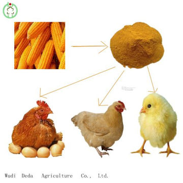 Aminoácidos ricos em farinha de glúten de milho